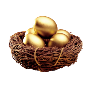 Nest PNG