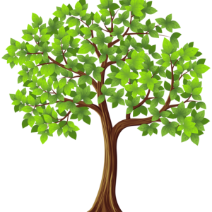 tree PNG