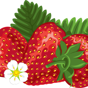 three Strawberries PNG image