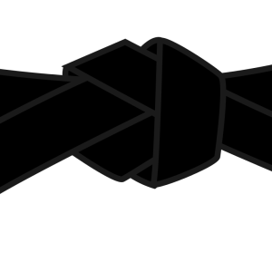 Karate PNG