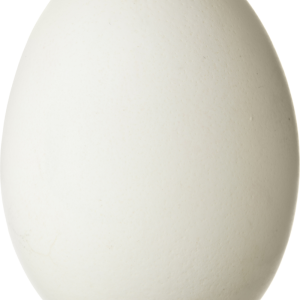 Eggs PNG