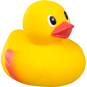 Rubber duck PNG