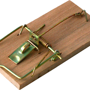 Mouse trap PNG