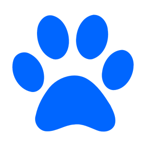 Paw PNG