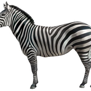Zebra PNG image