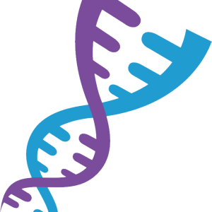 DNA PNG