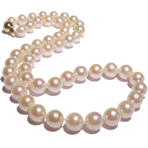 Pearl PNG