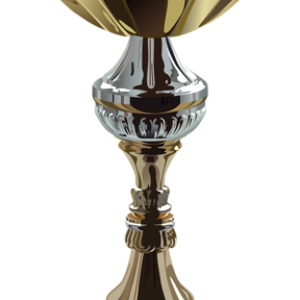 Award trophy cup