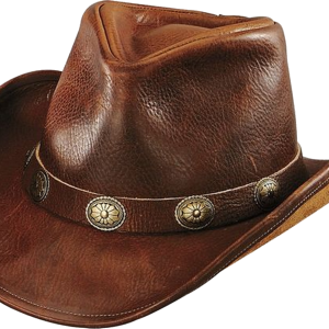 Cowboy hat PNG