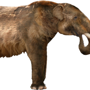 Mammoth PNG