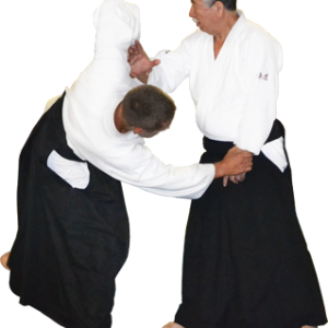 Aikido PNG