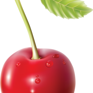 cherry PNG image