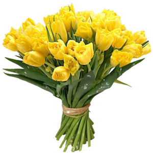Bouquet flowers PNG