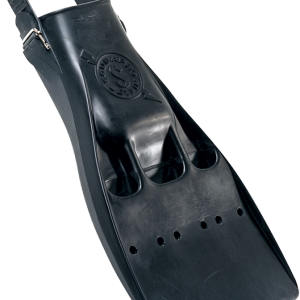 Flippers PNG
