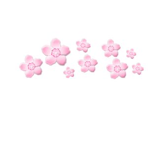 Sakura PNG
