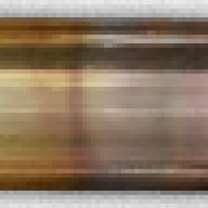 Bullets PNG image