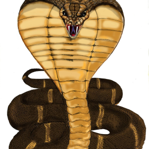 Cobra PNG