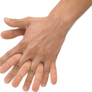 Hands PNG, hand image free