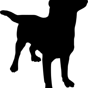 dog png image, picture, download, dogs