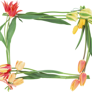 Floral frame PNG