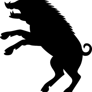 Boar PNG