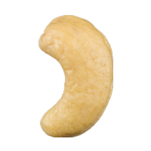 Cashew nut PNG