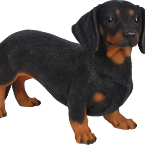 Dachshund PNG
