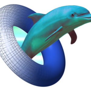 Dolphin PNG