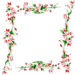 Floral frame PNG