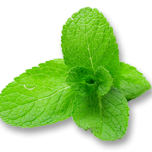 Pepermint PNG
