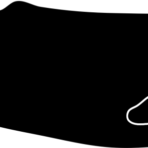 black sperm whale PNG