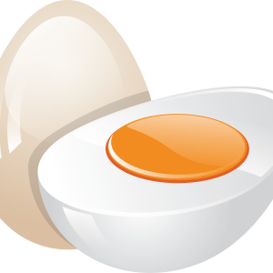 Egg PNG image