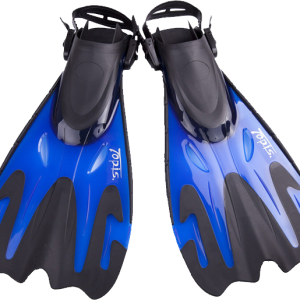 Flippers PNG