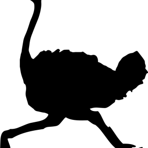 Ostrich PNG