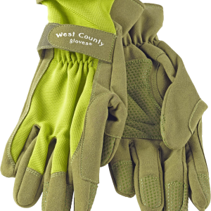 Gloves PNG image