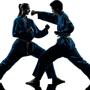Karate PNG