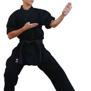Karate PNG