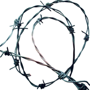 Barbwire PNG
