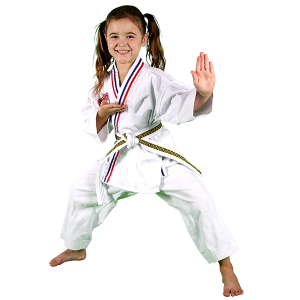 Karate PNG