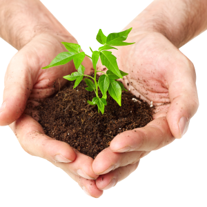 Soil in hands PNG