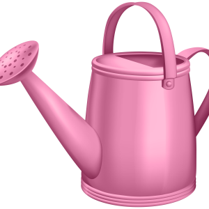 Pink watering can PNG