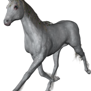 Unicorn PNG