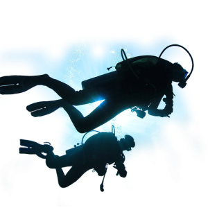 Diver PNG