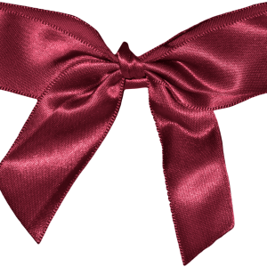 Bow PNG image