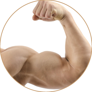 Muscle PNG