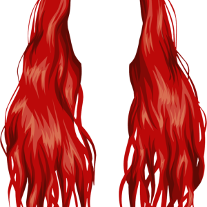 Hair wig PNG