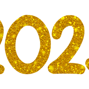 2023 year PNG