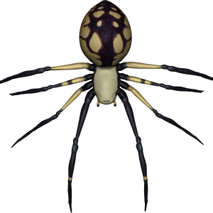 Spider PNG image