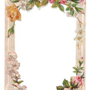 Floral frame PNG