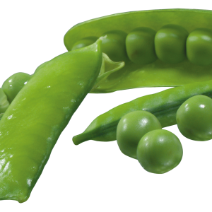 Pea PNG